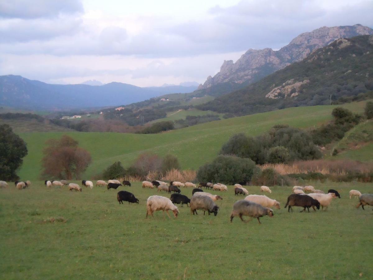 Maison De Campagne Sarragia Luaran gambar