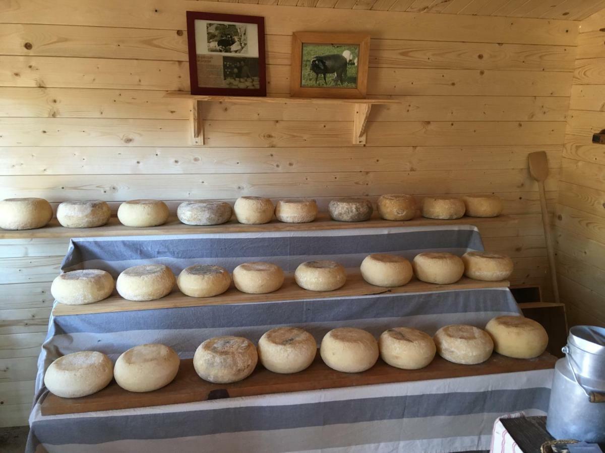 Maison De Campagne Sarragia Luaran gambar